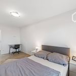 Miete 2 Schlafzimmer wohnung von 57 m² in Nürnberg