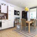 Rent 3 bedroom apartment of 91 m² in Jáchymov
