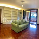 Affitto 3 camera appartamento di 132 m² in Cusago