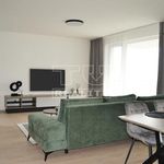 Rent 3 bedroom apartment of 99 m² in Číhošť