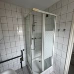 Rent 1 bedroom apartment of 56 m² in Maastricht
