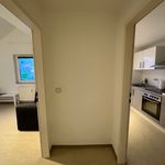 Rent 1 bedroom apartment of 35 m² in Magdeburg