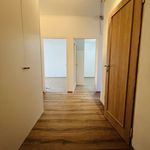 Rent 2 bedroom apartment of 50 m² in Ostrava
