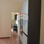 Rent 3 bedroom apartment of 100 m² in Saronno