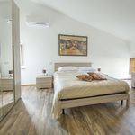 Rent a room in Viterbo