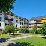 Rent 2 bedroom apartment of 50 m² in Collombey-Muraz