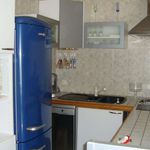Rent 3 bedroom apartment of 50 m² in Vesoul