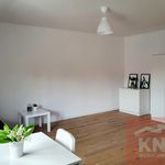 Rent 1 bedroom apartment of 40 m² in Bełchatów