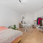 Rent 1 bedroom apartment of 28 m² in Gent