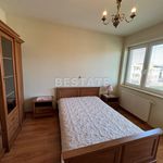 Rent 2 bedroom apartment of 50 m² in pabianice