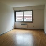 Rent 1 bedroom apartment of 28 m² in Lille