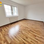 Rent 4 bedroom apartment of 101 m² in Lauter-Bernsbach