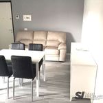 Rent 2 bedroom apartment of 45 m² in Novara