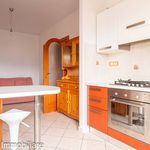 Rent 3 bedroom apartment of 75 m² in Ivrea