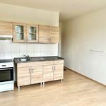Rent 1 bedroom apartment of 36 m² in Plzeň