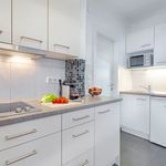 Rent 1 bedroom apartment in Wien