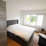 Rent 2 bedroom apartment in Beernem