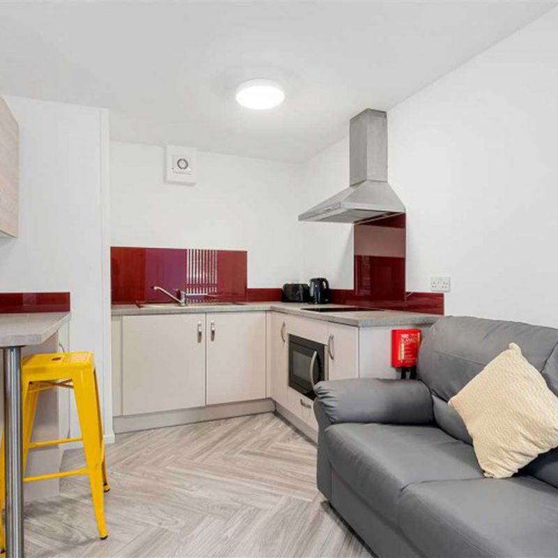 Emmanuel House, Studio 4, 179 North Road West, Plymouth, 1 bedroom, Apartment Pennycomequick