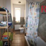 Rent 1 bedroom apartment of 62 m² in Plzeň