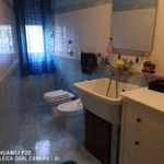 Rent 1 bedroom apartment of 70 m² in Partanna
