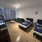 Rent 3 bedroom apartment of 75 m² in Velbert