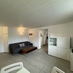 Rent 3 bedroom apartment of 45 m² in Collioure