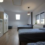 Rent 1 bedroom apartment of 150 m² in Piwniczna-zdrój
