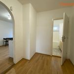 Rent 2 bedroom apartment of 48 m² in Havířov