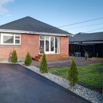 Rent 1 bedroom house in Christchurch