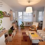 Rent 3 bedroom apartment of 54 m² in Liberec