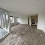 Rent 3 bedroom apartment of 90 m² in Drachten