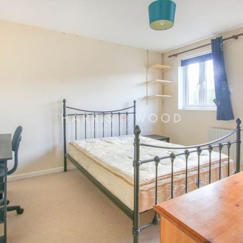 End terrace house to rent in Stanley Wooster Way, Colchester, Essex CO4 Greenstead