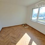 Rent 1 bedroom apartment of 540 m² in Brno