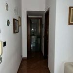 Rent 3 bedroom apartment of 93 m² in Genova