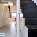 Rent 3 bedroom apartment of 64 m² in Turin