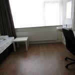Rent 1 bedroom apartment of 12 m² in Eindhoven