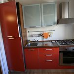 Rent 1 bedroom apartment of 40 m² in florence