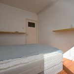 Rent 3 bedroom apartment of 64 m² in Groningen