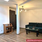 Wynajmij 1 sypialnię apartament z 28 m² w Bydgoszcz