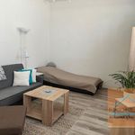 Rent 1 bedroom apartment of 45 m² in Konstantinovy Lázně