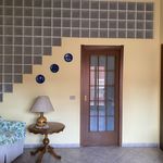 Rent 2 bedroom apartment of 110 m² in Catania