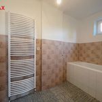 Rent 2 bedroom apartment of 54 m² in Kovarov
