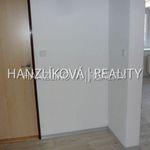 Rent 1 bedroom apartment of 33 m² in České Budějovice
