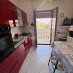 Rent 4 bedroom apartment of 100 m² in Nettuno