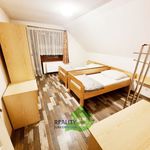 Rent 1 bedroom apartment of 19 m² in Rudolfov