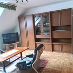 Rent 1 bedroom apartment of 42 m² in Steiermark