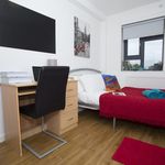 Rent 1 bedroom student apartment in London
