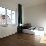 Rent a room of 270 m² in Prague
