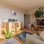 Wynajmij 3 sypialnię apartament z 60 m² w Bielsko-biała