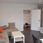 Rent 3 bedroom apartment of 55 m² in Braunschweig